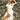 Owlet Safari Linen Midi Dress in Ivory